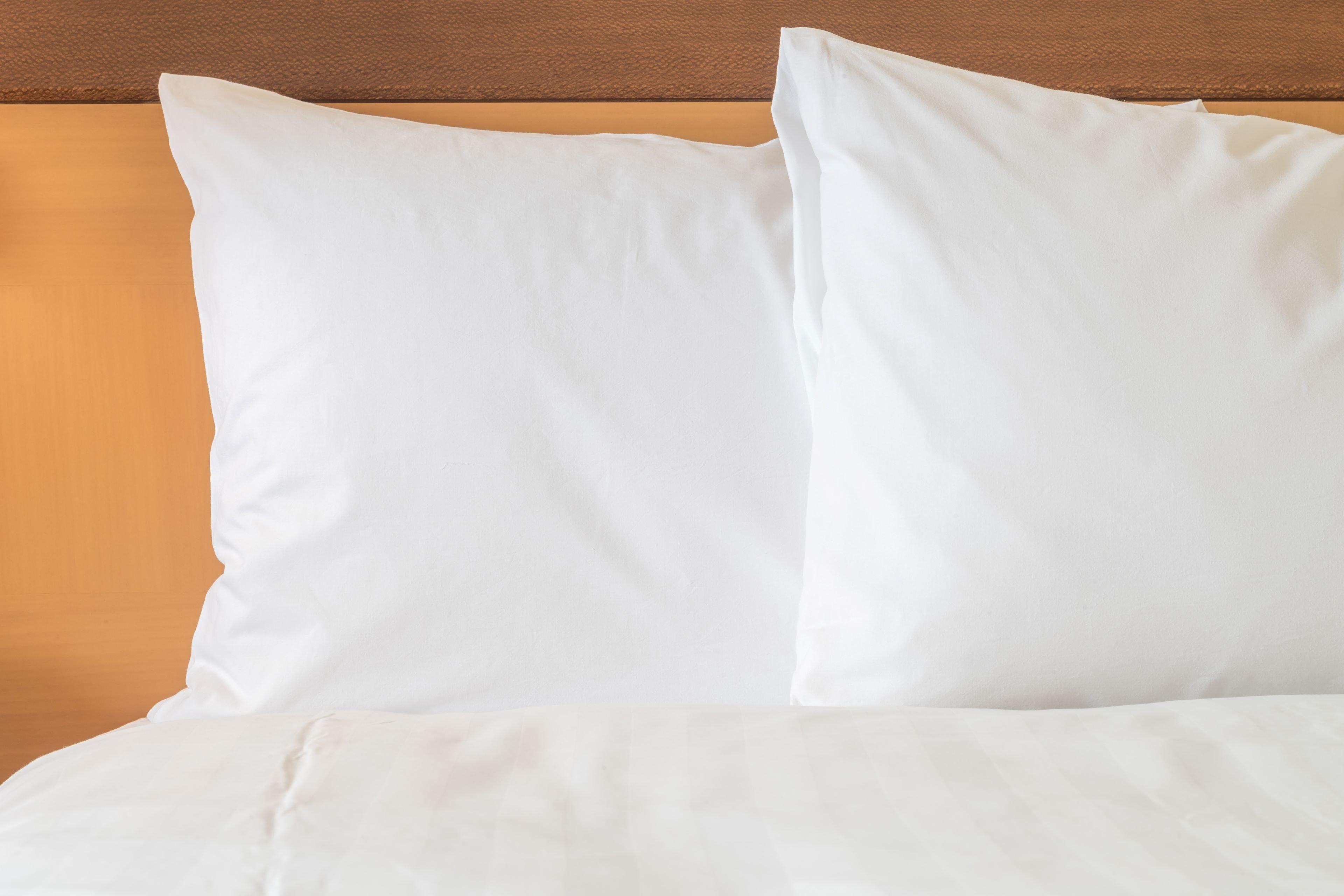 Holiday Inn Express Hotel & Suites Charlotte By Ihg Exteriör bild